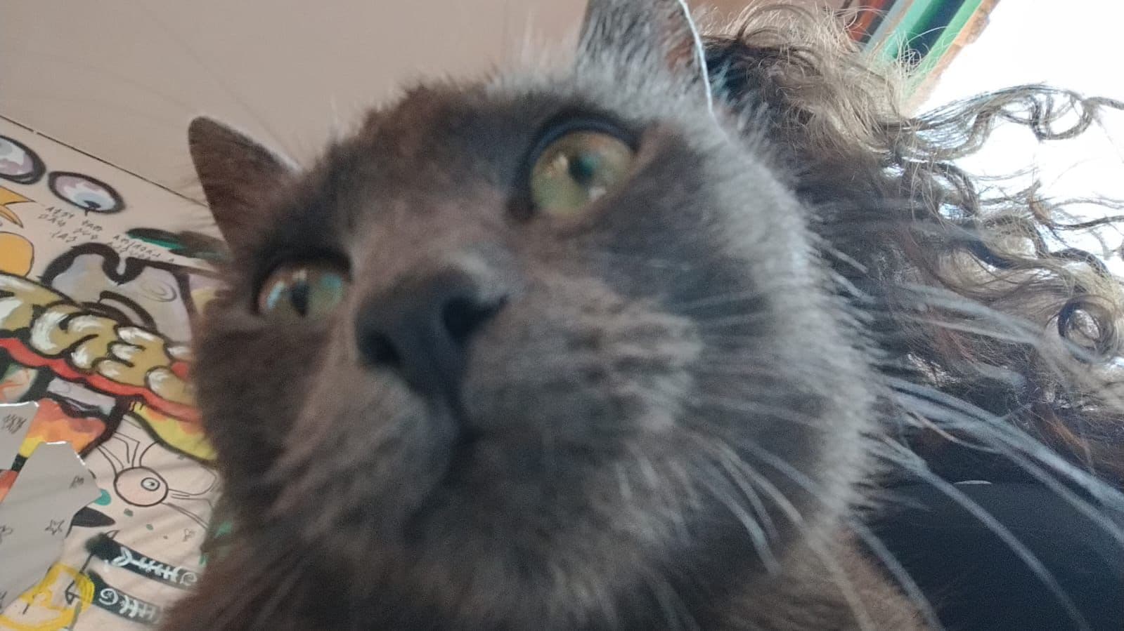 Luna está desaparecida e uma criança fica doente