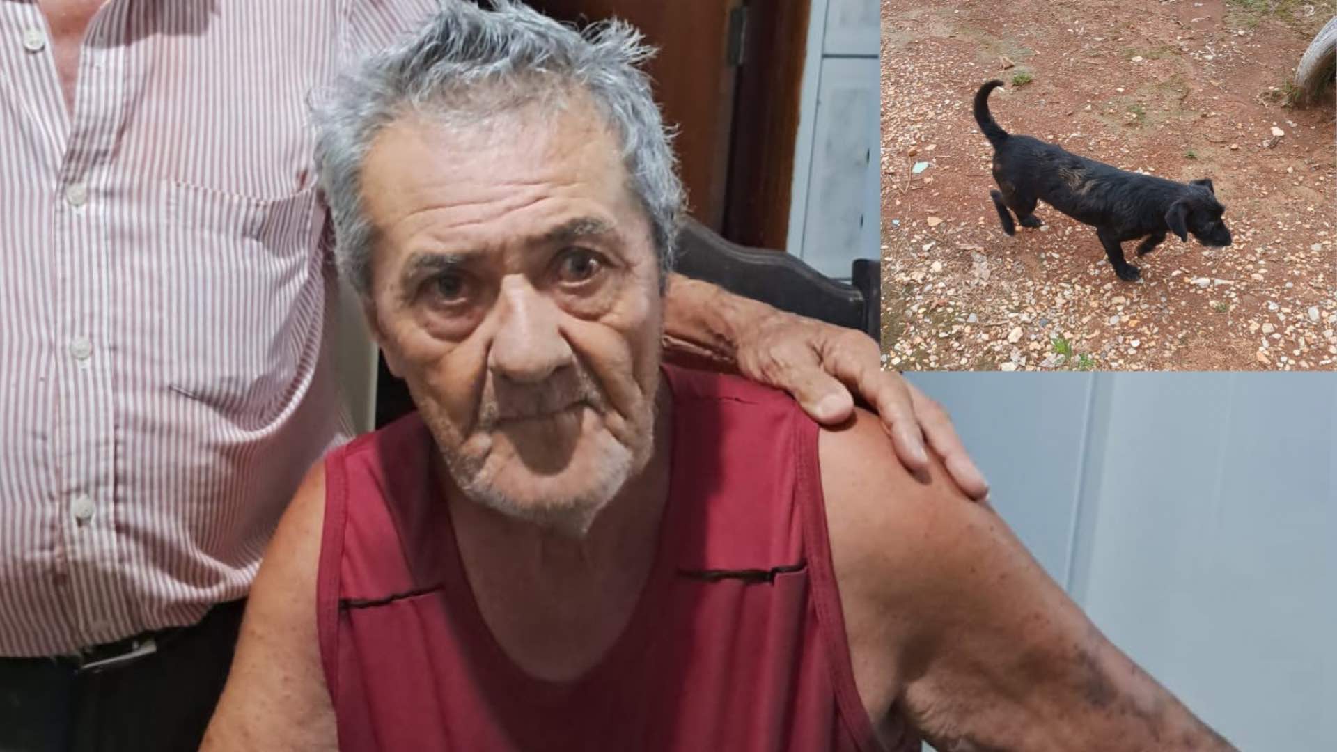 Cachorro conduz equipe e ajuda a localizar idoso após 32 horas desaparecido em mata de Nova Campina